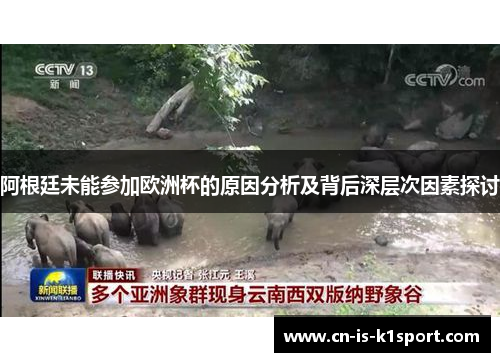 阿根廷未能参加欧洲杯的原因分析及背后深层次因素探讨