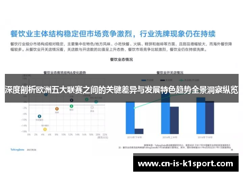 深度剖析欧洲五大联赛之间的关键差异与发展特色趋势全景洞察纵览