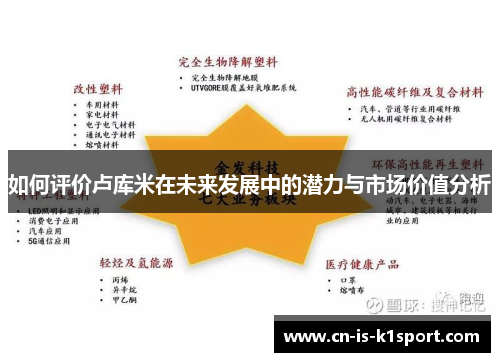 如何评价卢库米在未来发展中的潜力与市场价值分析
