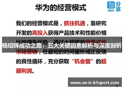 杨绍辉成功之路：五大关键因素解析与深度剖析